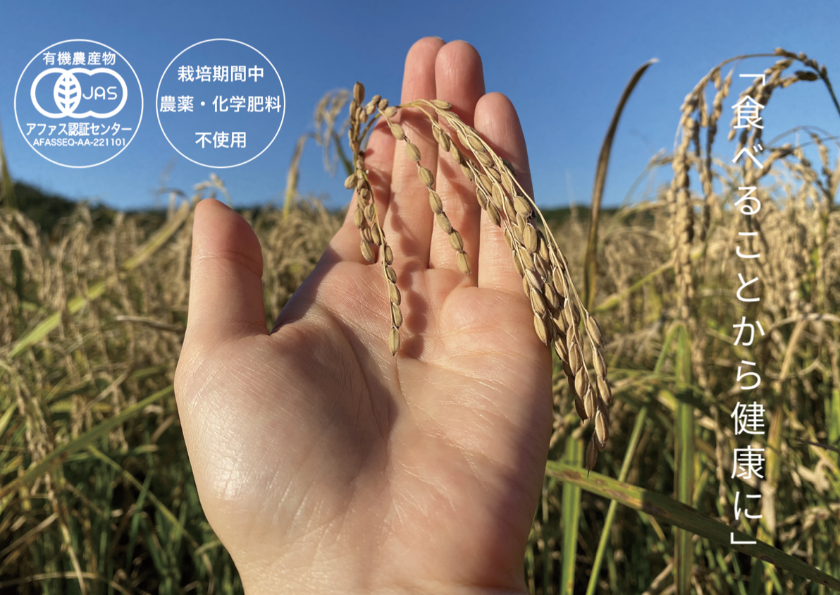 農薬・化学肥料不使用の稲穂