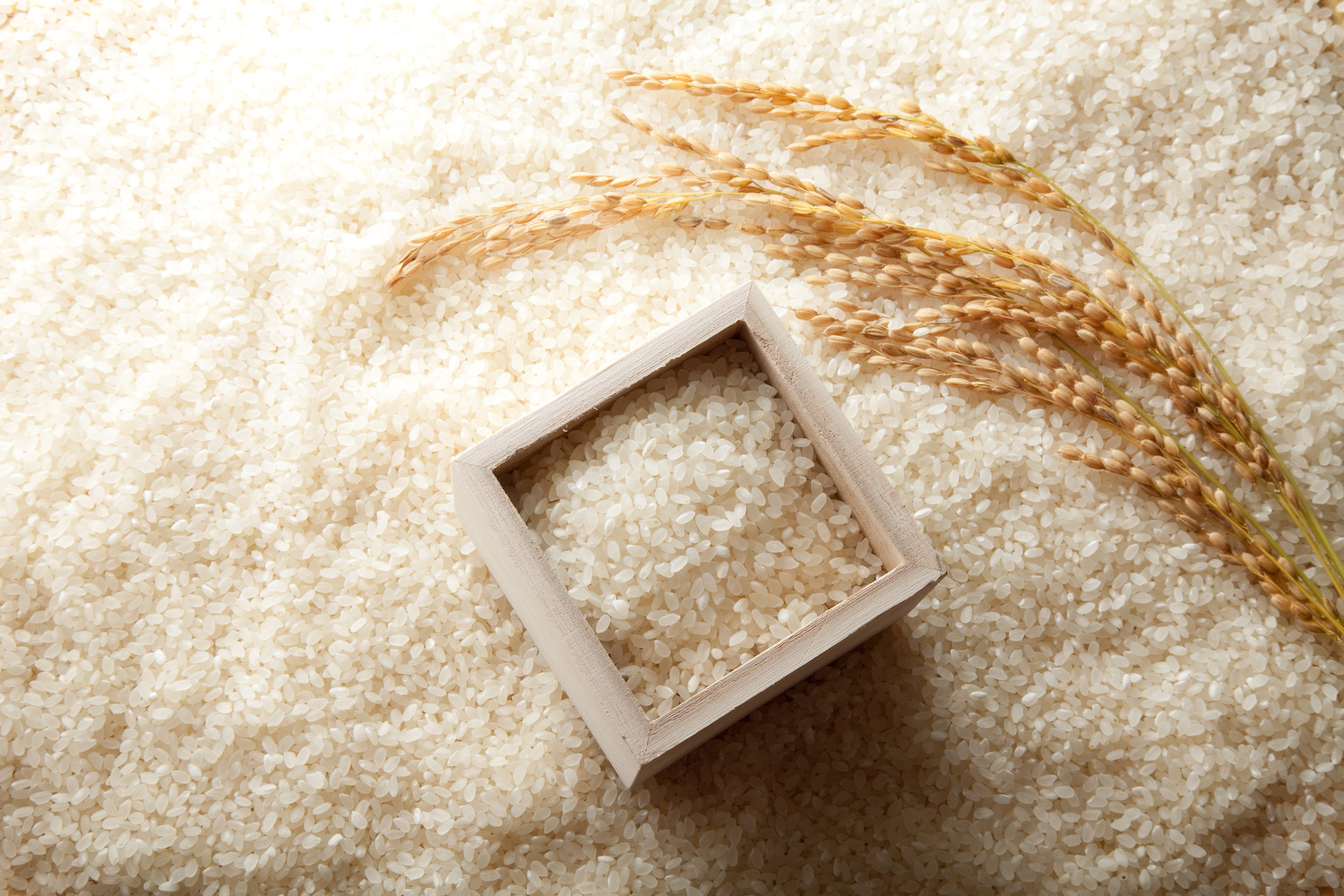 三代目玄オリジナルブレンド白米